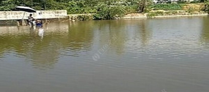东湖塘水库照片