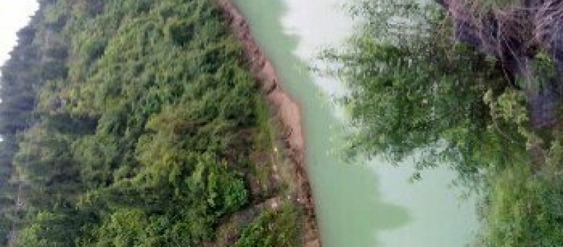 龙塘河照片