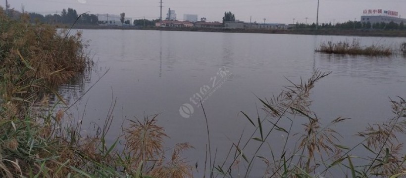 凤湖照片