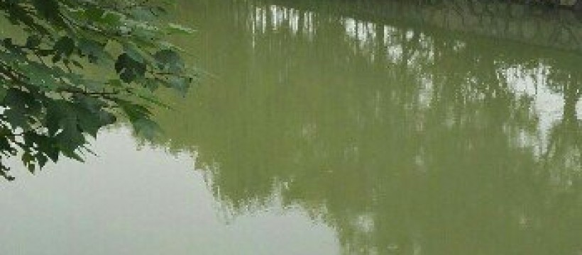 白鹤河照片