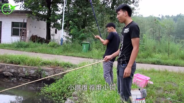 【视频】两兄弟池塘边钓鱼比赛，竹竿连连上货，买来的手竿为啥总钓不到？_视频封面