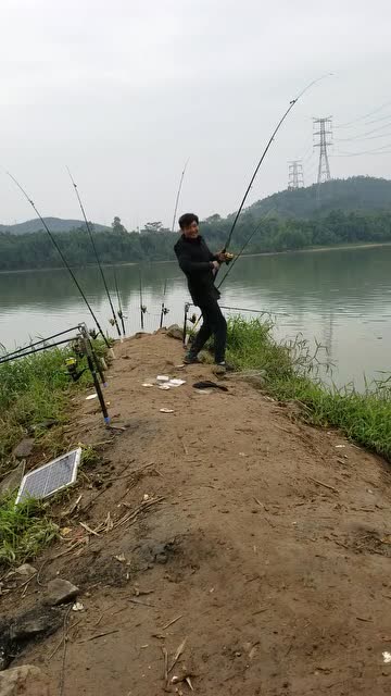 【视频】东江大河钓鱼，鳊鱼虽然好钓，这种鱼却很难上钩_视频封面