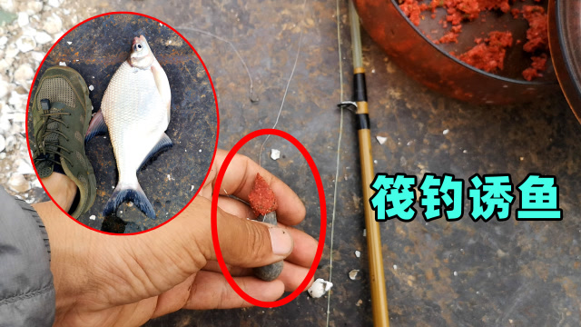【视频】江里筏钓诱鱼小技巧分享，在铅坠上做文章，钓了一条鳊鱼_视频封面