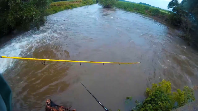 【视频】雨后的浑水，非常适合路亚大鲶鱼！_视频封面