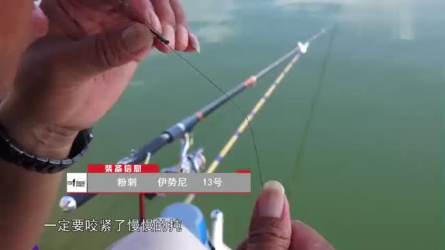 【视频】大毛老师分享自己PE线绑钩的一些小技巧 钓鱼爱好者们快来学习_视频封面