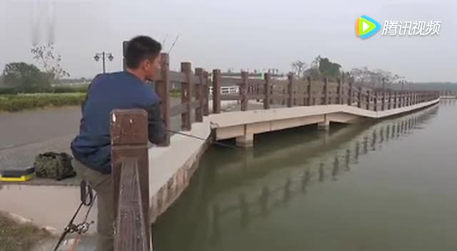 【视频】路亚  钓鱼  大鳡鱼  全过程_视频封面