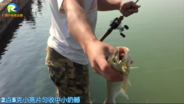 【视频】路亚小亮片居然意外中一只鳡鱼，运气真好_视频封面
