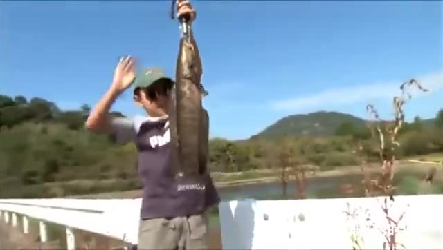 【视频】钓鱼：海杆应该是这样玩的，11岁男孩把鱼钓到出神入化！_视频封面