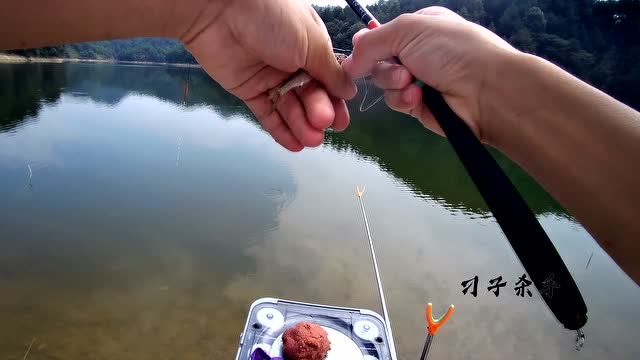 【视频】水库钓鱼，这样的鱼情不值得等待，早点回家比较靠谱_视频封面