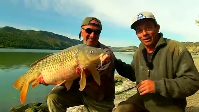 【视频】钓鱼：大水库钓大鱼，目测三十多斤！_视频封面