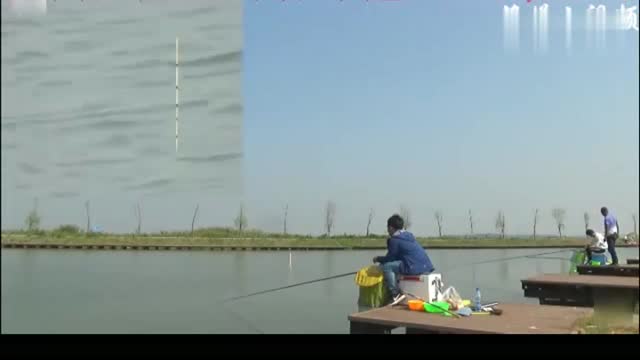 【视频】高清浮漂钓鱼, 台钓就喜欢狂拉的感觉, 享受整个过程_视频封面