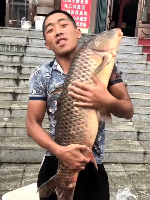 【视频】20多斤野生大鲤鱼，钓到还是放生吧_视频封面