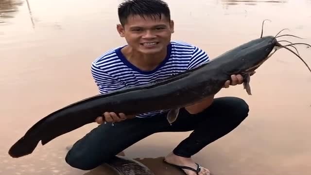 【视频】农村小伙真猛，钓了一公一母的大鲶鱼，这鱼至少活了10年了！_视频封面
