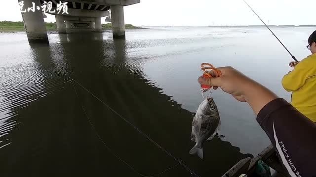 【视频】新手前打钓鱼，如何抛竿是第一步，钓鱼爱好者都要经历的_视频封面