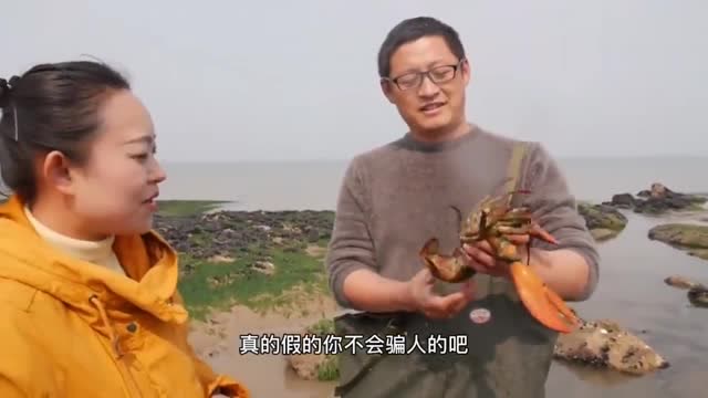 【视频】农村小伙赶海捉八爪鱼，瞧见直接徒手捡起一只大澳龙_视频封面