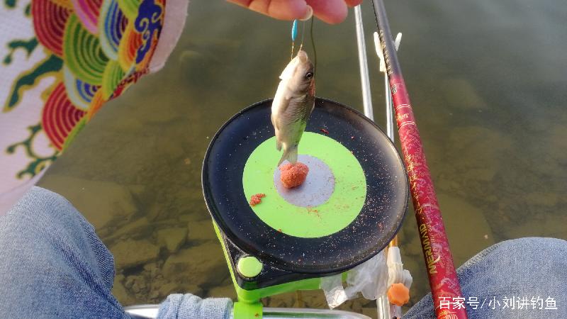 钓鱼高手拉饵的开制和使用技巧，看看和你有何不同！