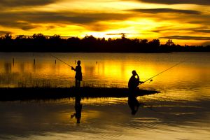 深秋季作钓鱼方法技巧