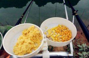 玉米粒钓鱼用饵方法技巧