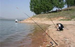江河湖泊垂作钓鲤鱼的钓位选择方法技巧