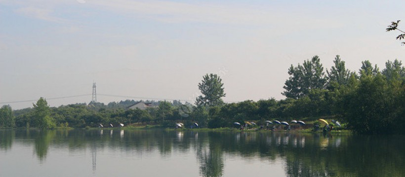 白塘植物园照片