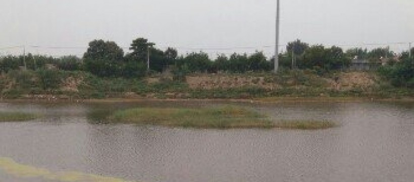 三坛村池塘照片
