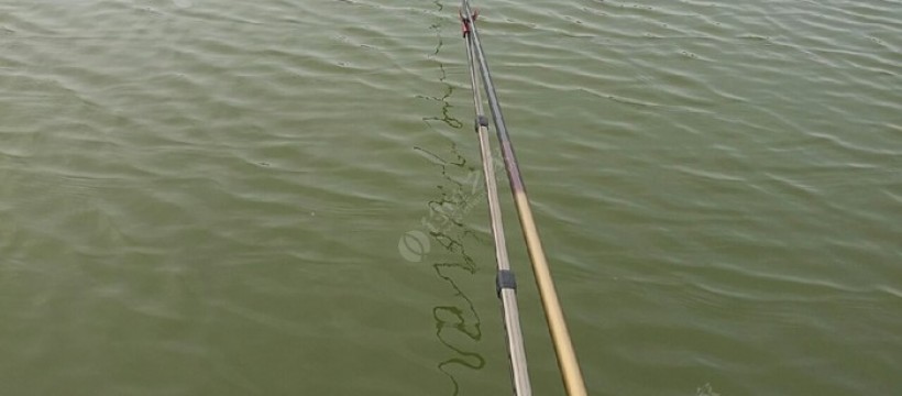 东坡钓鱼场照片