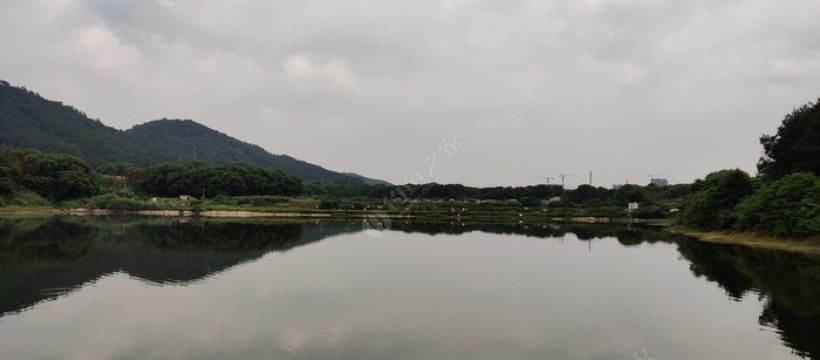江福钓鱼场照片