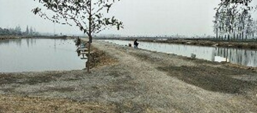 千湖国际垂钓中心照片