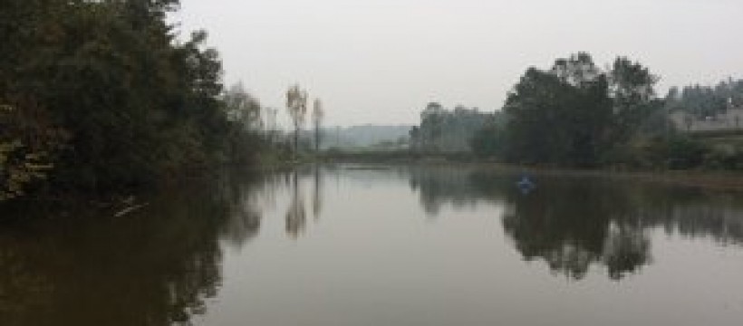 高坡村村委会旁钓鱼场照片