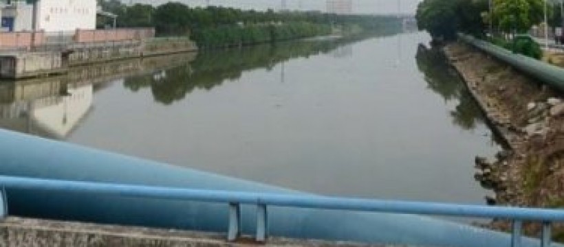 新泗港河照片