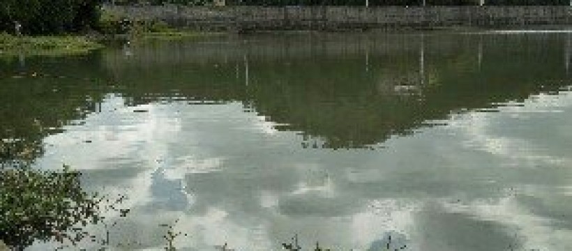 玉堂河照片