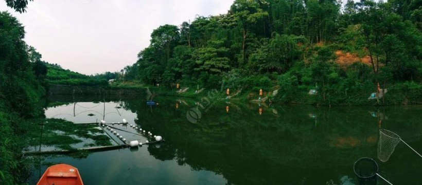 泸州市向阳生态垂钓中心照片
