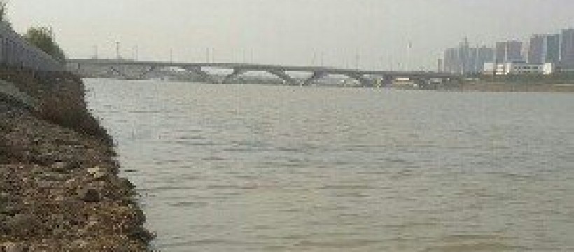 伊河志远桥照片