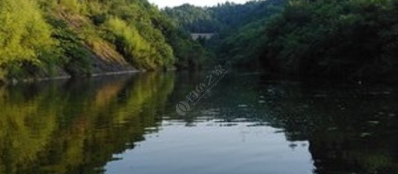 阳新仙岛湖叉子照片