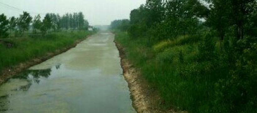 陶庄村河照片