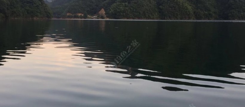 太平湖野钓照片