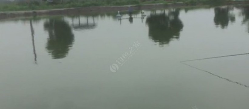 泉井湖休闲山庄照片