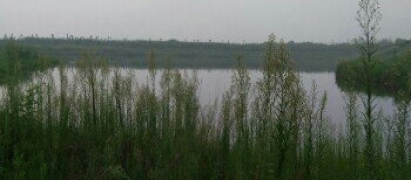 金龙湖照片