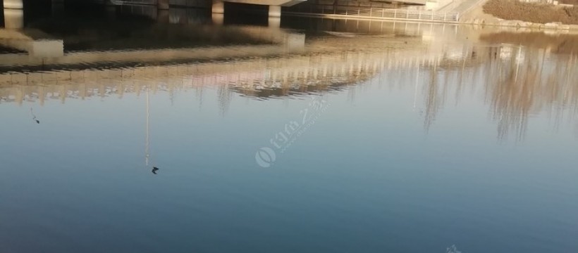 刺猬河照片