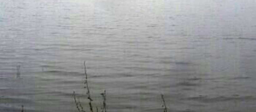 大冶湖照片