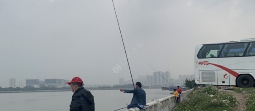 珠江河照片