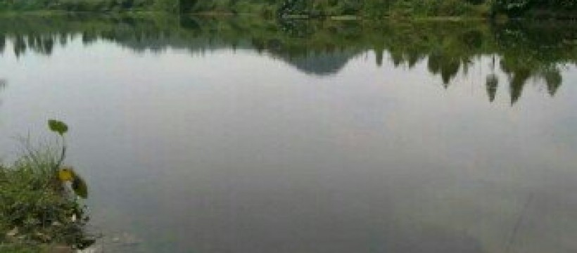 西溪河照片