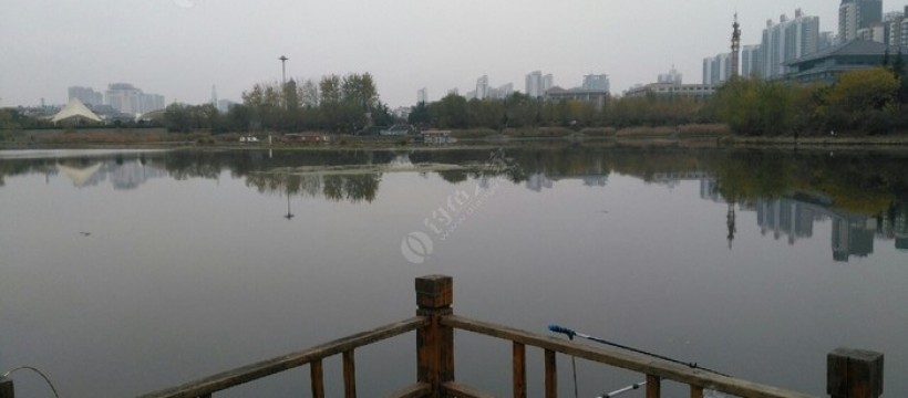 荆河照片