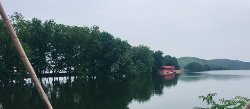 小池东港河照片