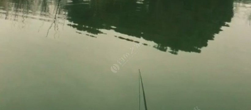 衡水湖照片