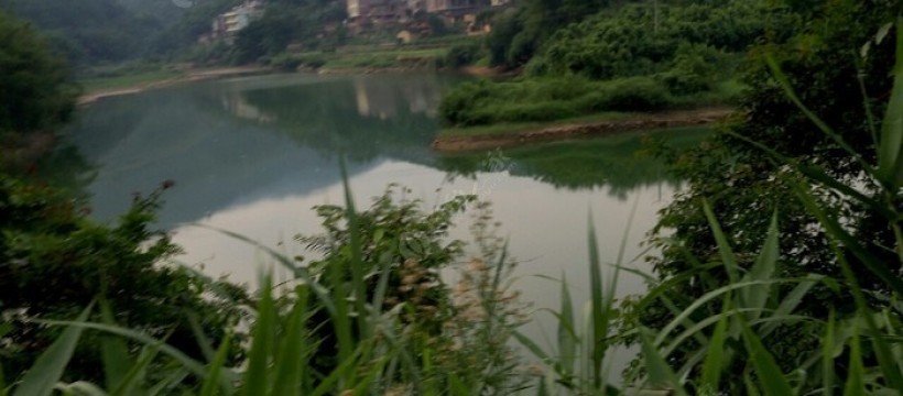 仙人湖照片