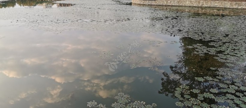 薛埠仙湖观景河照片