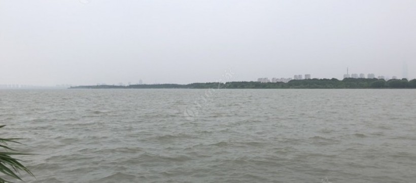 阳澄湖照片