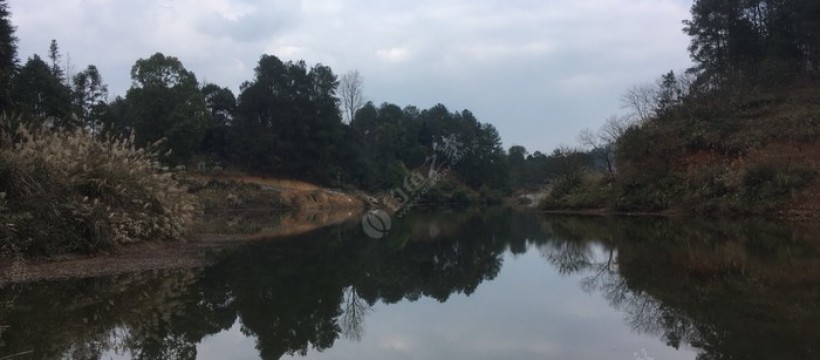 唐文水产养殖照片