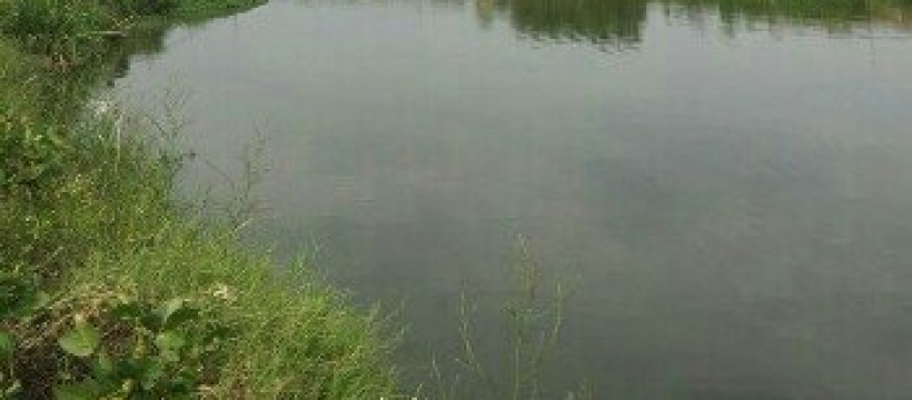 渭水河照片